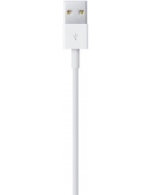  apple APPLE LIGHTNING/USB (1 ) MXLY2ZM/A