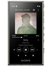 mp3  SONY NW-A105 ()
