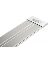 BIH-AP4-1.0-W