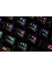 Lakshmi 78119
