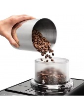 EXAM440.55.B EXAM440.55.B