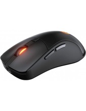 SURPASSION RX (CGR-SURRX)