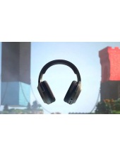 Barracuda X 2022 (������)