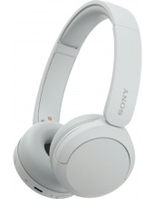 SONY WH-CH520 ()  