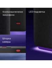 ������ ������� ��� ���� YNDX-00055BLK (������)