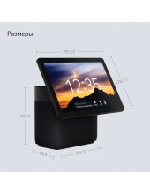 ������ ������� ��� ���� YNDX-00055BLK (������)