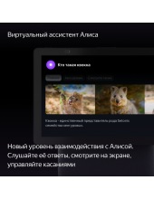 ������ ������� ��� ���� YNDX-00055BLK (������)