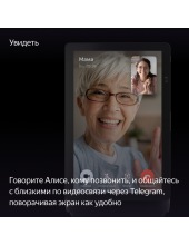 ������ ������� ��� ���� YNDX-00055BLK (������)