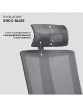 ERGO BLISS (�����)