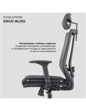 ERGO BLISS (�����)