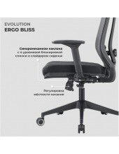 ERGO BLISS (�����)