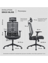 ERGO BLISS (�����)