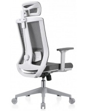 ERGO BLISS (�����)