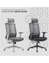 ERGO BLISS (�����)