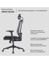 ERGO BLISS (�����)