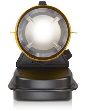 BHDP-10