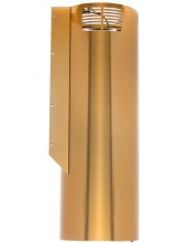 Beauty 31 (����������)