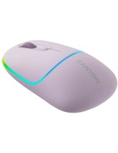 CNS-CMSW22PR (-)