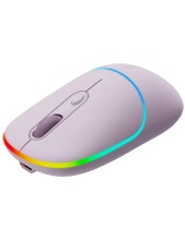 CNS-CMSW22PR (-)