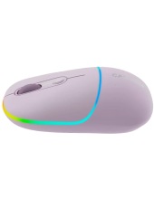 CNS-CMSW22PR (-)