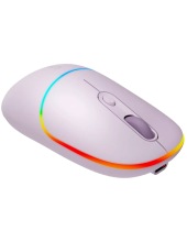 CNS-CMSW22PR (-)