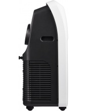 BPAC-12 CP/N1_24Y