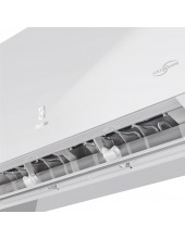 EACS/I-09HEN-WHITE/N8_24Y