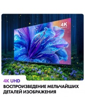 55 Smart TV S2 (DH1VMGD02RU)