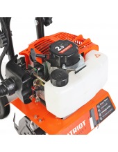 Denver F (460104478)