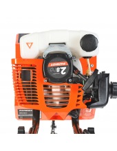 Denver F (460104478)