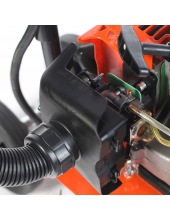 Denver F (460104478)