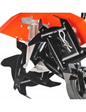 Denver F (460104478)