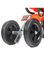 Denver F (460104478)