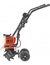 Denver F (460104478)