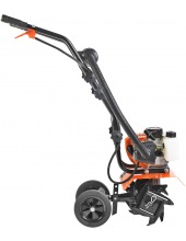 Denver F (460104478)