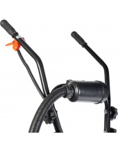 Denver F (460104478)