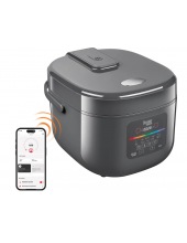 MC100S (�����)