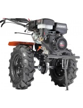 Nevada 15 (440106504)