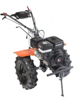 Nevada 15 (440106504)