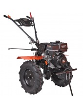 Nevada 409 (440106511)