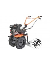  PATRIOT   (440107011)