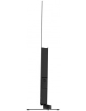 65 OLED S9 Pro DH1VNXD00RU