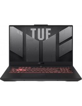  ASUS TUF Gaming A17 FX707NUR-HX014 (90NR0JL5-M000N0)