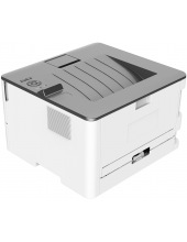 P3300DW