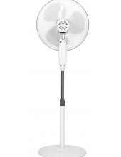 BFF-815 W