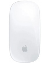   APPLE Magic Mouse USB-C MXK53 ()
