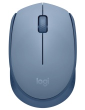   LOGITECH 910-006866 M171, ()