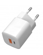  / TFN TFN-WCRPD21 ()