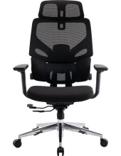   EVOLUTION LumbarPro AL