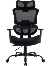   EVOLUTION ZenFoam ()